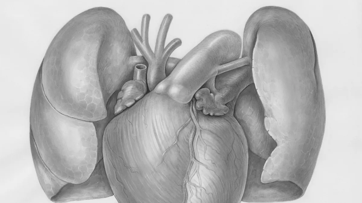 Aortic Stenosis Treatment Options